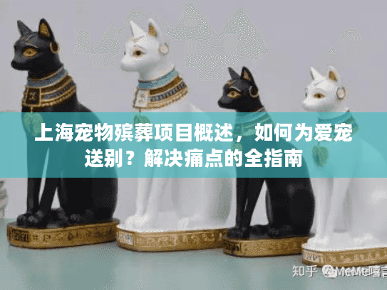 上海宠物殡葬项目概述，如何为爱宠送别？解决痛点的全指南