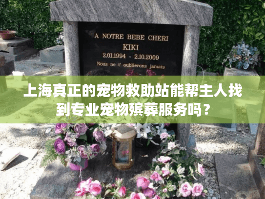 上海真正的宠物救助站能帮主人找到专业宠物殡葬服务吗？