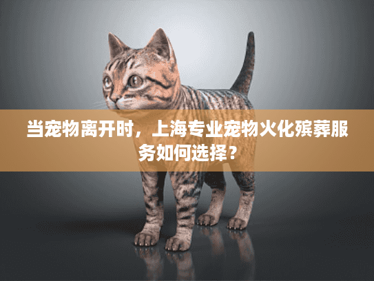 当宠物离开时，上海专业宠物火化殡葬服务如何选择？