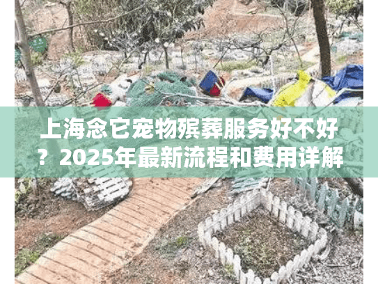 上海念它宠物殡葬服务好不好？2025年最新流程和费用详解
