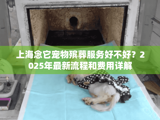 上海念它宠物殡葬服务好不好？2025年最新流程和费用详解
