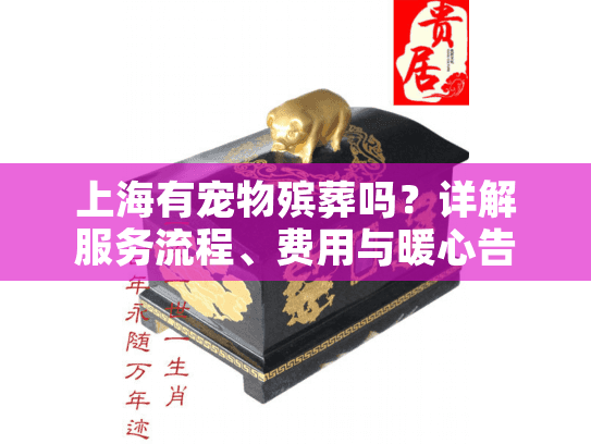 上海有宠物殡葬吗？详解服务流程、费用与暖心告别选择