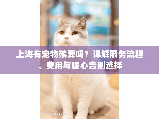上海有宠物殡葬吗？详解服务流程、费用与暖心告别选择