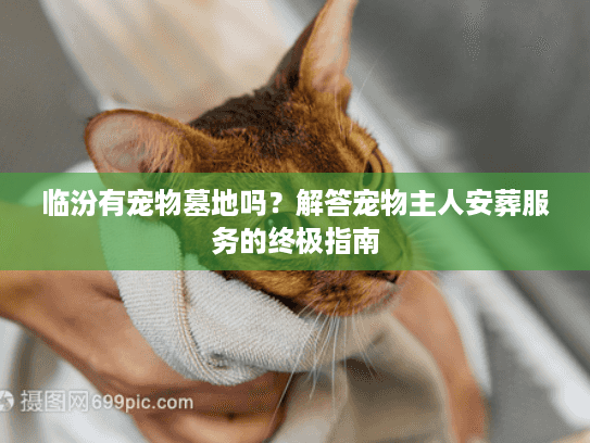 临汾有宠物墓地吗?解答宠物主人安葬服务的终极指南 临汾有宠物墓地吗?解答宠物主人安葬服务的终极指南