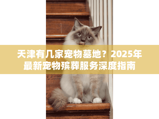 天津有几家宠物墓地？2025年最新宠物殡葬服务深度指南
