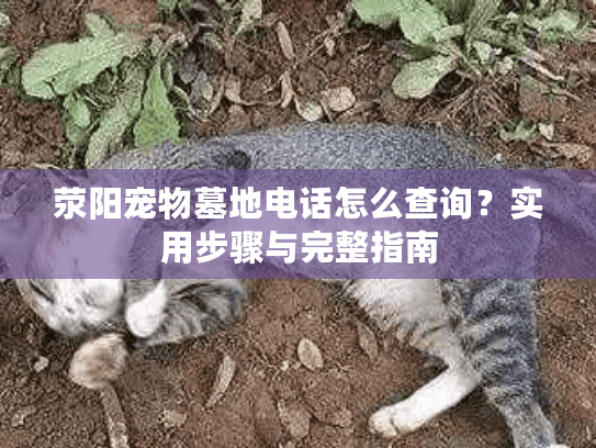 荥阳宠物墓地电话怎么查询？实用步骤与完整指南