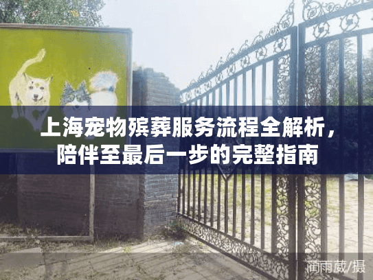 上海宠物殡葬服务流程全解析，陪伴至最后一步的完整指南