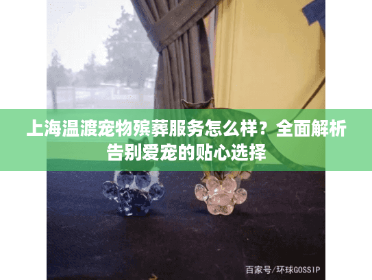 上海温渡宠物殡葬服务怎么样？全面解析告别爱宠的贴心选择