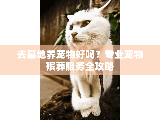 去墓地养宠物好吗？专业宠物殡葬服务全攻略