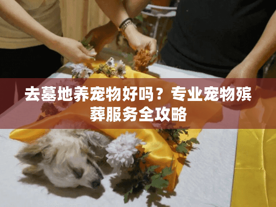 去墓地养宠物好吗？专业宠物殡葬服务全攻略