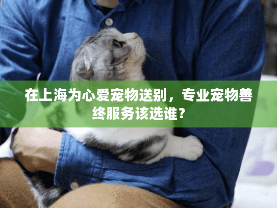 在上海为心爱宠物送别，专业宠物善终服务该选谁？