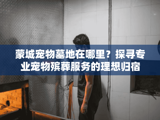 蒙城宠物墓地在哪里？探寻专业宠物殡葬服务的理想归宿
