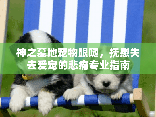 神之墓地宠物跟随，抚慰失去爱宠的悲痛专业指南