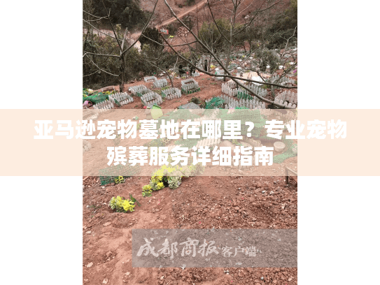 亚马逊宠物墓地在哪里？专业宠物殡葬服务详细指南