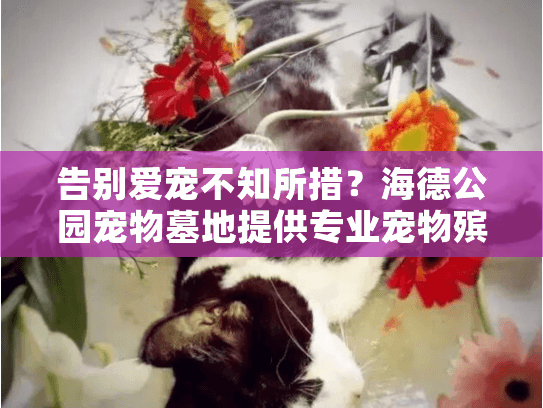 告别爱宠不知所措？海德公园宠物墓地提供专业宠物殡葬服务指南