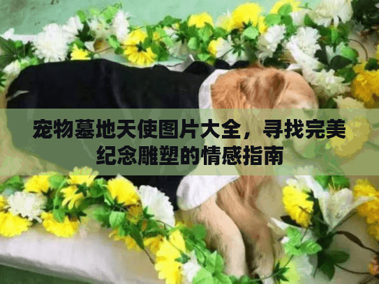 宠物墓地天使图片大全，寻找完美纪念雕塑的情感指南