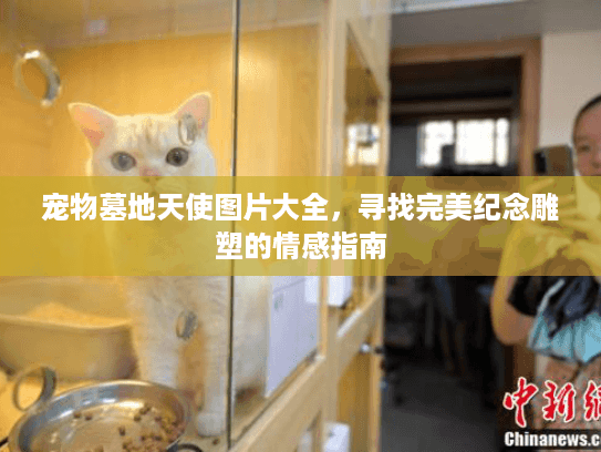 宠物墓地天使图片大全，寻找完美纪念雕塑的情感指南
