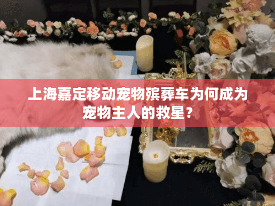 上海嘉定移动宠物殡葬车为何成为宠物主人的救星？