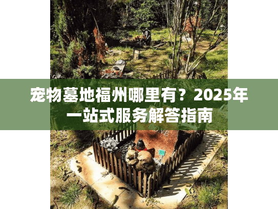 宠物墓地福州哪里有？2025年一站式服务解答指南