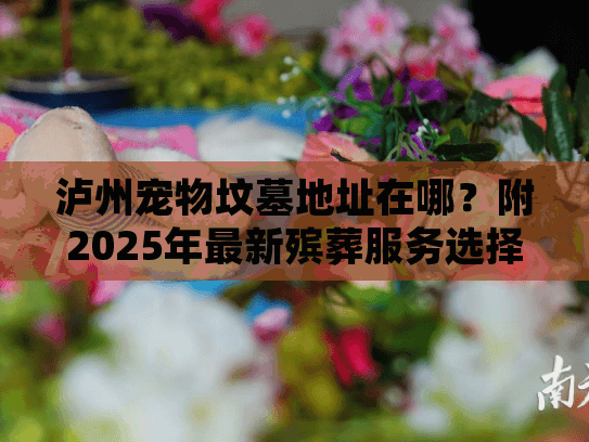 泸州宠物坟墓地址在哪？附2025年最新殡葬服务选择指南