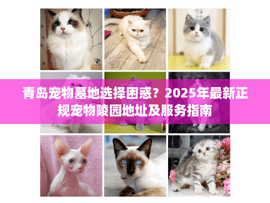 青岛宠物墓地选择困惑？2025年最新正规宠物陵园地址及服务指南
