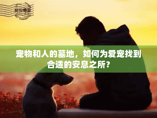 宠物和人的墓地，如何为爱宠找到合适的安息之所？