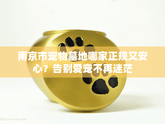 南京市宠物墓地哪家正规又安心？告别爱宠不再迷茫