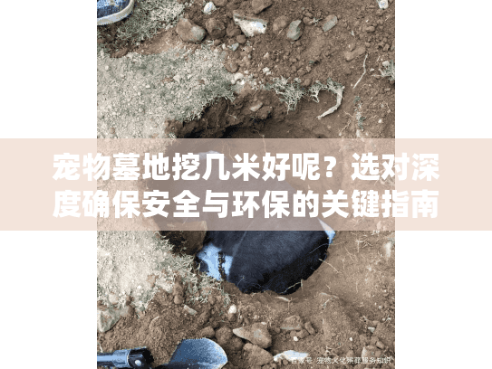 宠物墓地挖几米好呢？选对深度确保安全与环保的关键指南