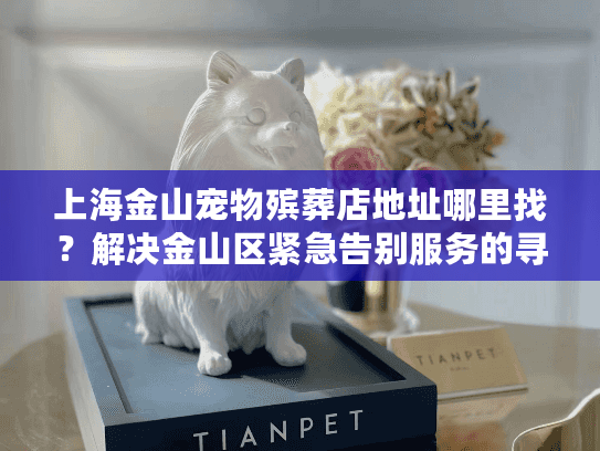 上海金山宠物殡葬店地址哪里找？解决金山区紧急告别服务的寻找难题