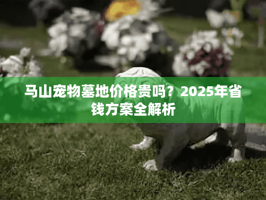 马山宠物墓地价格贵吗？2025年省钱方案全解析