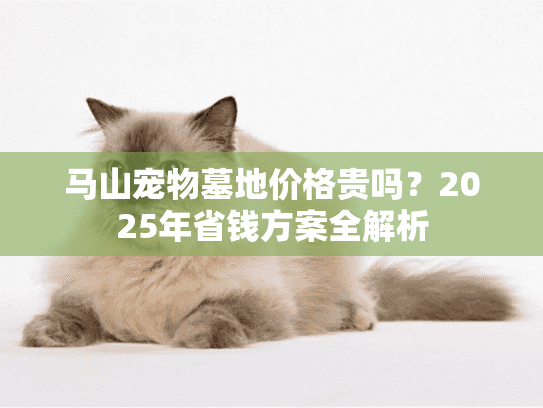 马山宠物墓地价格贵吗？2025年省钱方案全解析
