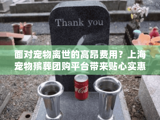 面对宠物离世的高昂费用？上海宠物殡葬团购平台带来贴心实惠方案