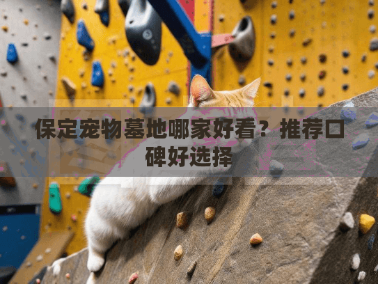 保定宠物墓地哪家好看?推荐口碑好选择 保定宠物墓地哪家好看?推荐口碑好选择