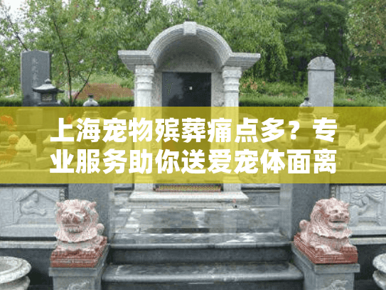 上海宠物殡葬痛点多？专业服务助你送爱宠体面离开