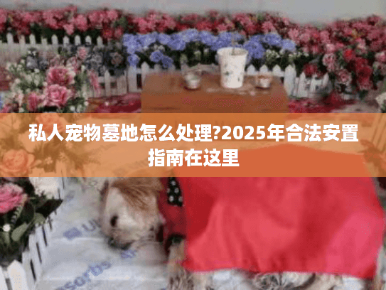 私人宠物墓地怎么处理?2025年合法安置指南在这里