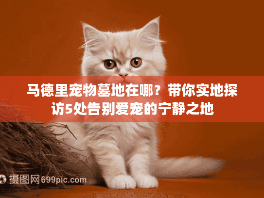 马德里宠物墓地在哪?带你实地探访5处告别爱宠的宁静之地 马德里宠物墓地在哪?带你实地探访5处告别爱宠的宁静之地