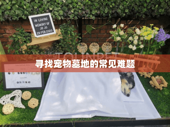 寻找宠物墓地的常见难题