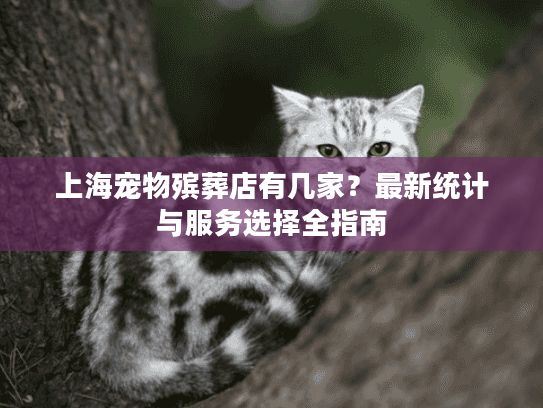上海宠物殡葬店有几家？最新统计与服务选择全指南
