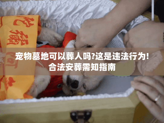 宠物墓地可以葬人吗?这是违法行为!合法安葬需知指南