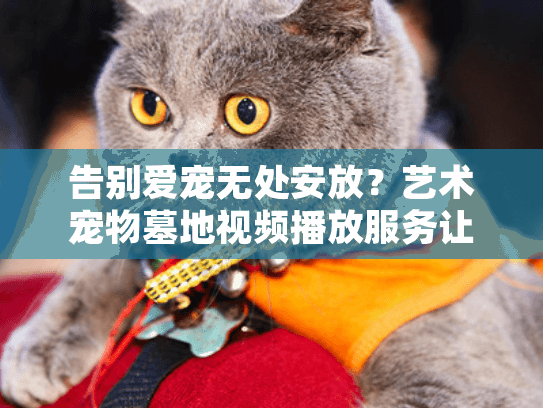 告别爱宠无处安放？艺术宠物墓地视频播放服务让思念永恒