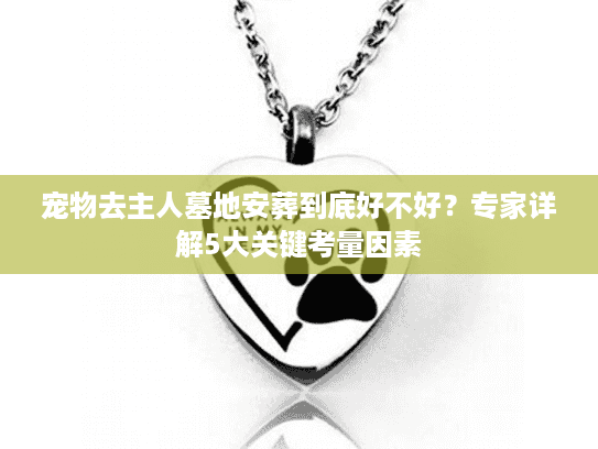 宠物去主人墓地安葬到底好不好？专家详解5大关键考量因素