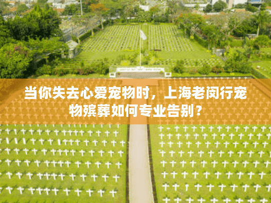 当你失去心爱宠物时，上海老闵行宠物殡葬如何专业告别？