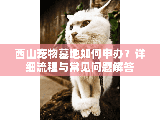 西山宠物墓地如何申办?详细流程与常见问题解答 西山宠物墓地如何申办?详细流程与常见问题解答