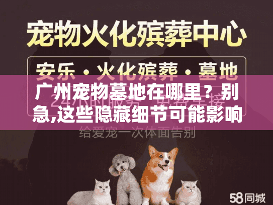 广州宠物墓地在哪里？别急,这些隐藏细节可能影响你毛孩子的安息安宁
