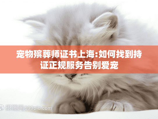 宠物殡葬师证书上海:如何找到持证正规服务告别爱宠