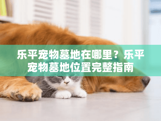 乐平宠物墓地在哪里?乐平宠物墓地位置完整指南 乐平宠物墓地在哪里?乐平宠物墓地位置完整指南