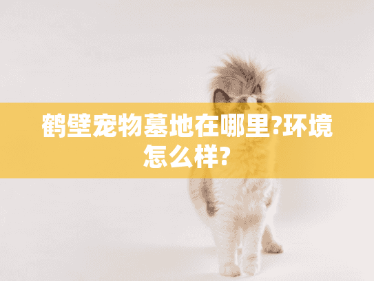 鹤壁宠物墓地在哪里?环境怎么样?