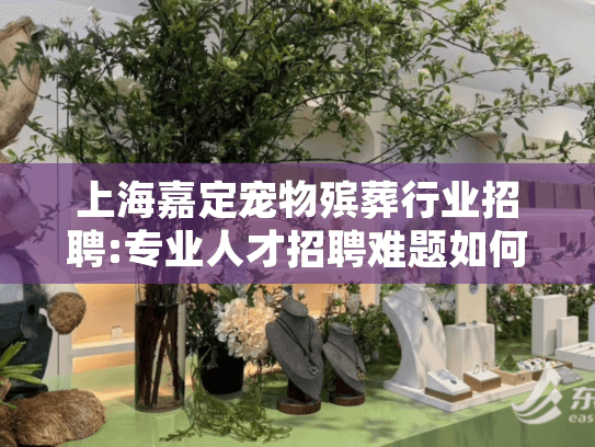 上海嘉定宠物殡葬行业招聘:专业人才招聘难题如何破解?