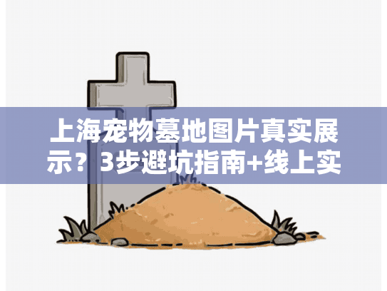 上海宠物墓地图片真实展示？3步避坑指南+线上实景考察方法