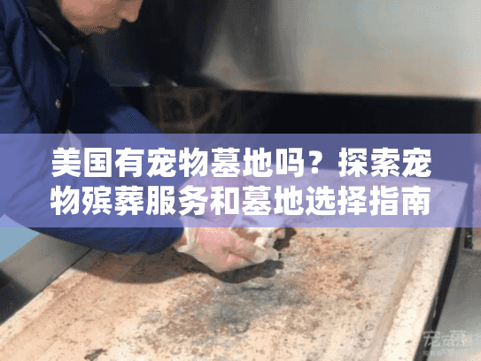 美国有宠物墓地吗？探索宠物殡葬服务和墓地选择指南